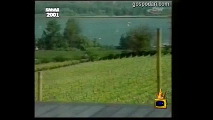 Бърборене
