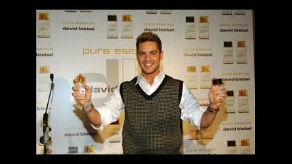 David Bisbal - Apiadate De Mi