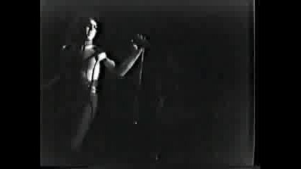 Kiss Live 1979