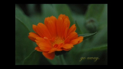 Tsp ft. Lyrics - Go Away (album Edit)
