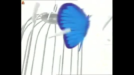 Кати - Пеперуда ( 1999 )