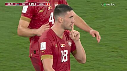 Сърбия – Швейцария 2:3 /репортаж/