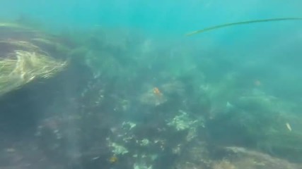 Пътуване от Ocean City, Md до San Diego, Ca