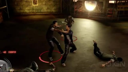 Sleeping dogs-comment