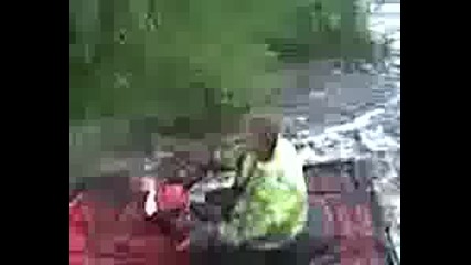 Бъги Прекосява Река