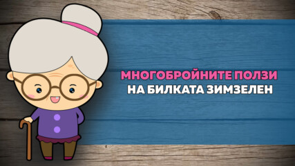 Многобройните ползи на билката ЗИМЗЕЛЕН