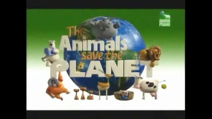 Animal Planet Животни спасяват планетата 