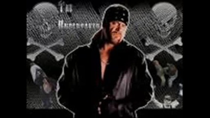 Wwe The Best