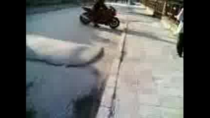 Moto Gumata