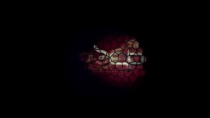 Джена - Да видя какво е (dj Bebo Pravda Records Remix)