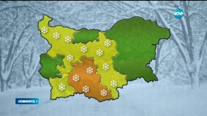Новините на Нова (08.03.2015 - обедна)