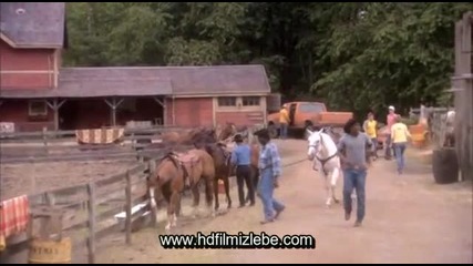 Dr Dolitle 3 Turkce Dublaj Aksiyon Komedi Film Yonetmen 2015 Hd