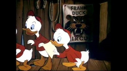 Donald Duck - Donald's Birthday