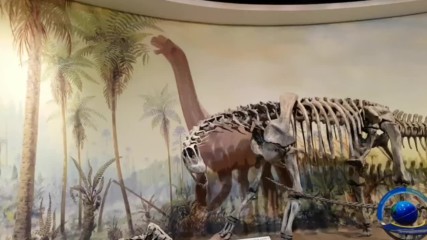 Посетихме Музеят на палеонтологията