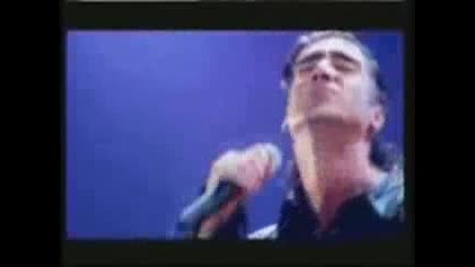Song of Zorro- Amor gitano