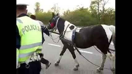 Полицай арестува пиян ром с каруца и кон