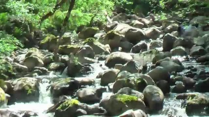 Water Sounds Relaxing