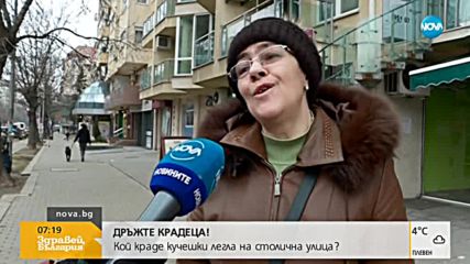„Дръжте крадеца”: Кражба на кучешки легла в центъра на София (ВИДЕО)