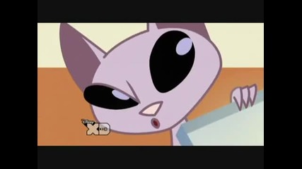 Kid vs. Kat - Do Not Fort Sake Me season 2 new serie