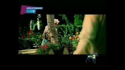 P!nk - So What !new!