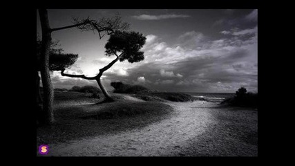 Dj Bown feat Niko Rivera - Santa Fe Levitium