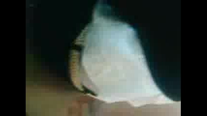 klas 2