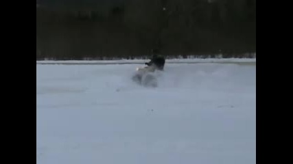 Renegade 800 In The Snow 