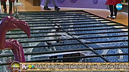 Маги Сидерова, Станислав Дочев, Антон Стефанов обсъждат последните събития в Къщата на Big Brother