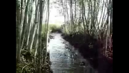 uaz Vs gaz Offroading