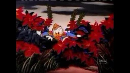 Donaldduck - Homedefense.avi
