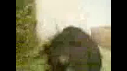 Video_1