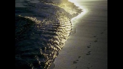Wavetraxx - Beach Stringz (dj Space Raven & Petersen Remix) 