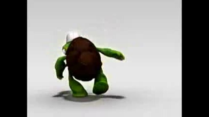 Crazy Turtle