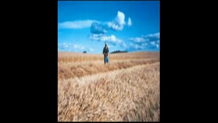 Лудата Пародия(не Си Заслужява Да Се Види)