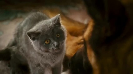 Много смях! Cats And Dogs - The Revenge Of Kitty Galore - Official Trailer [hd]