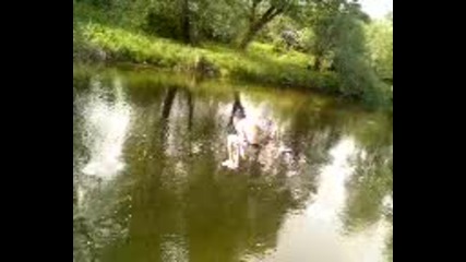 video-