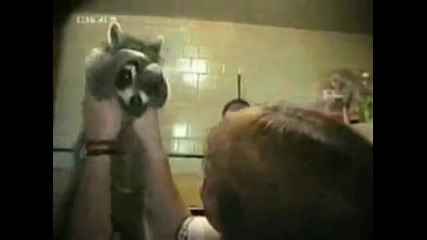 Смешни хора и животни
