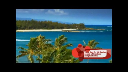 Страхотно Лятно! Tony Ray feat. Lil Smiley - Sound Of Freedom ( Original Mix )