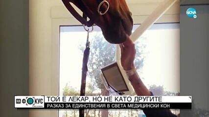 Историята на Пейо - единственият в света медицински кон