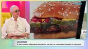 В Амстердам забраниха рекламите на месо и изкопаеми горива по улиците | На кафе | 7 май 2026