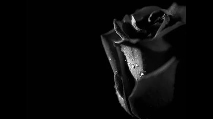 Apocalyptica feat. Brent Smith - Not Strong Enough (lyrics)