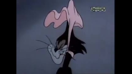Tom Jerry - Baby Butch