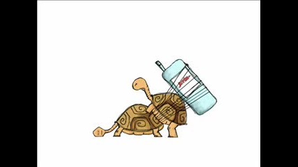 Funny Turtle Sex Cartoon