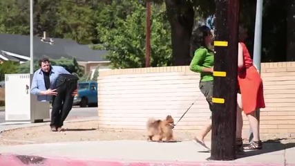 Magician cut in half prank