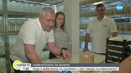 Къде се намира единствената у нас ферма за полезни насекоми и как помага на реколтата
