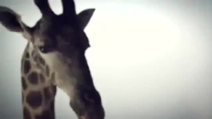 Wiz Khalifa - Smokin Drink ( Official Video).