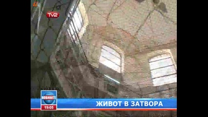 Живот В Затвора