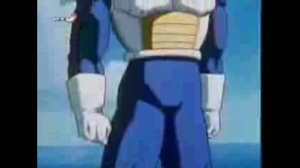 Goku and Vegeta - oomph.flv