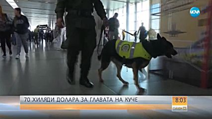 Бандити обявиха 70 000 долара за главата на полицейско куче