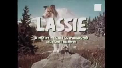 Lassie 